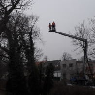 kácení stromu M. Vala.jpg
